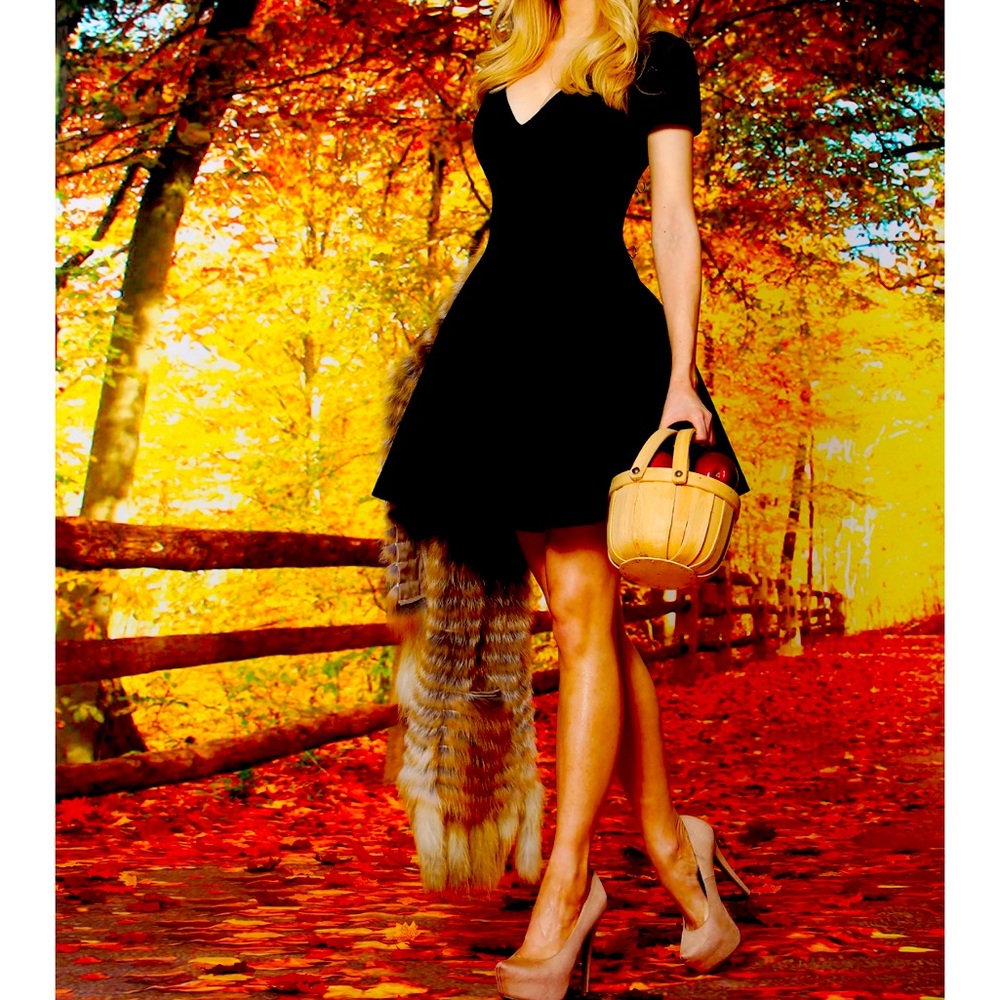 FOCUS by SHANI - Fit and Flare Novelty Honeycomb Dress Dress US 12